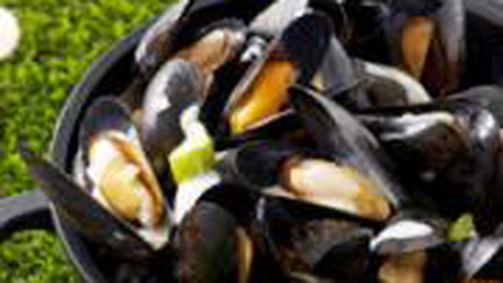 Cocotte de moules à la Bière Pelforth de Printemps