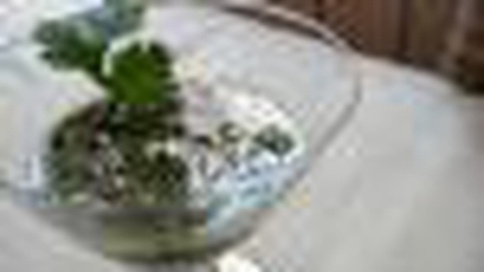 Pesto de coriandre