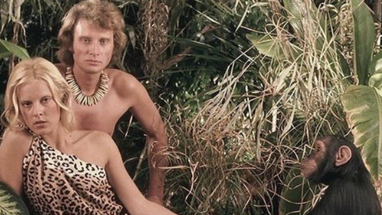 Sylvie Vartan et Johnny Hallyday
