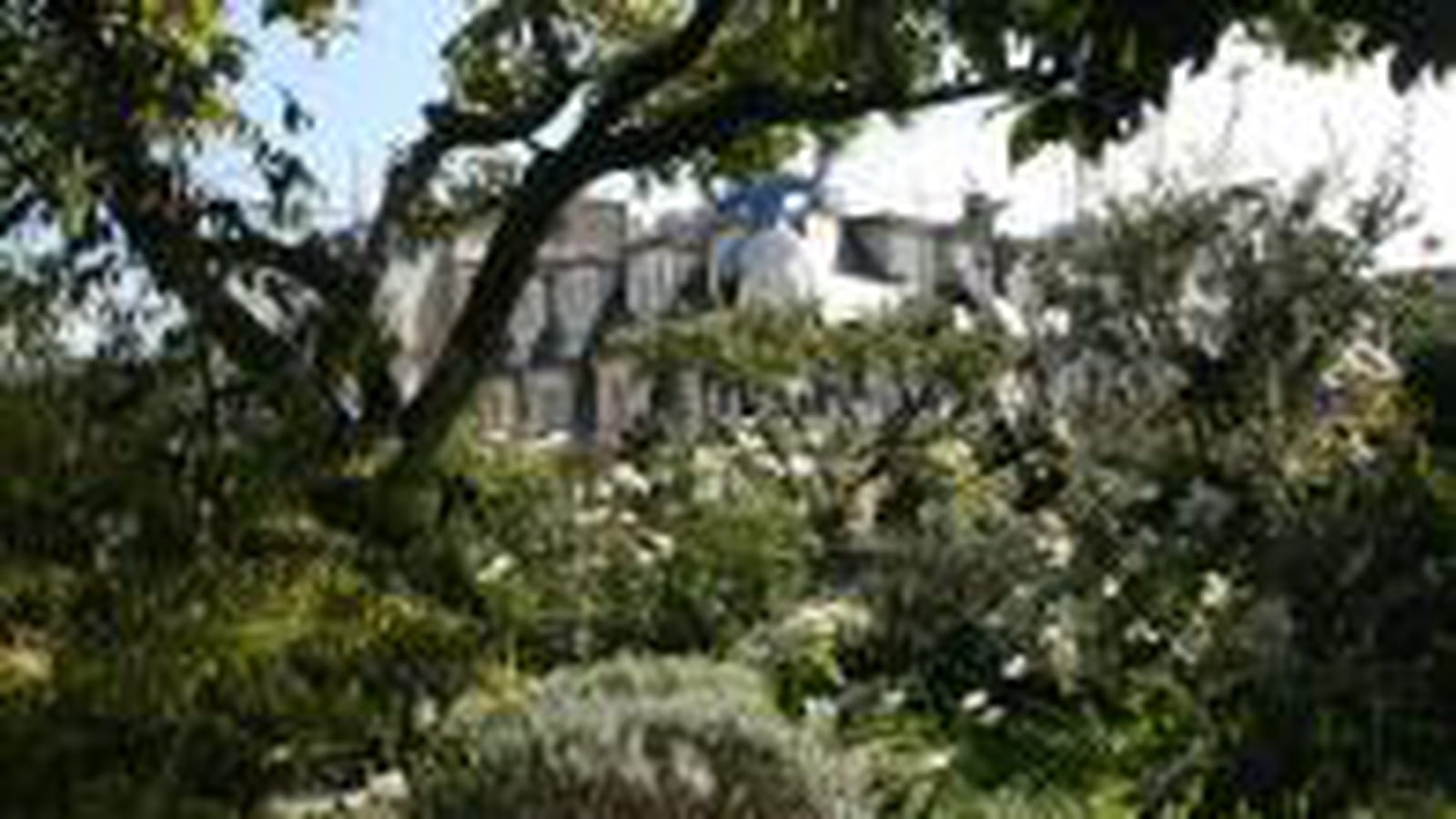 Sur les toits de Paris