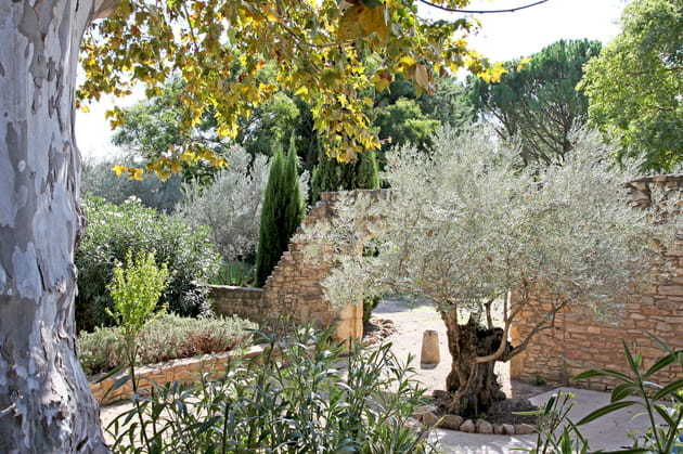 Jardin m&eacute;diterran&eacute;en