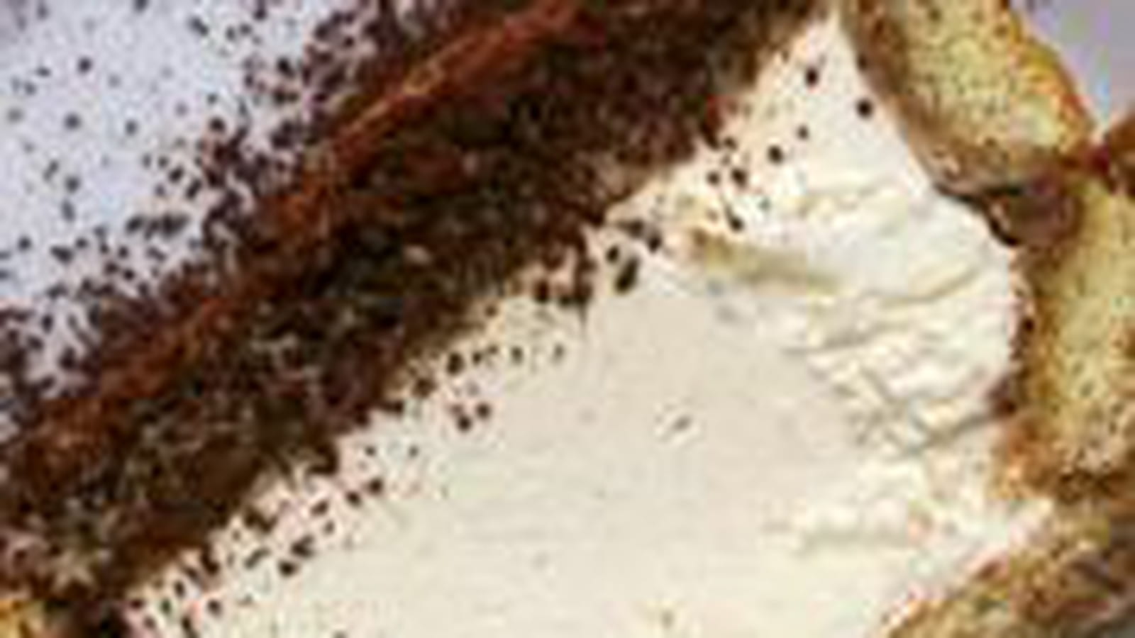 Semifreddo au tiramisù