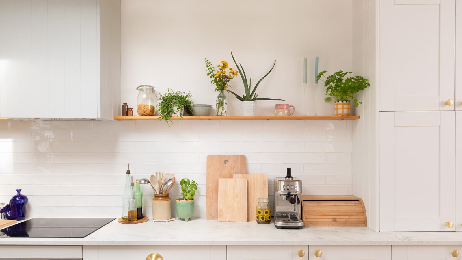Plantes et brocantes