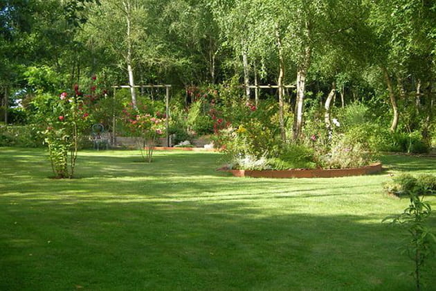 Un jardin très verdoyant