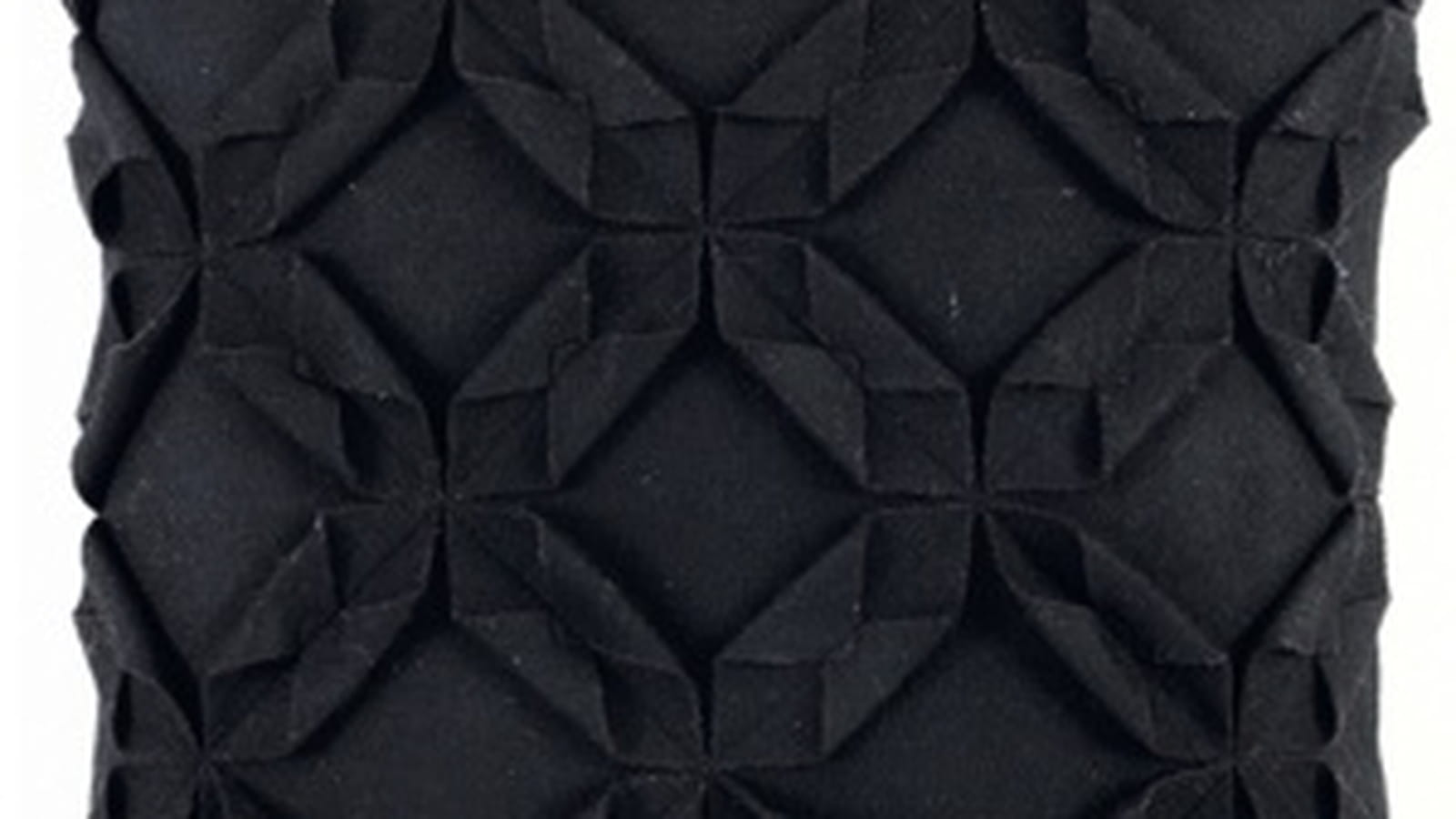 Coussin de Fly