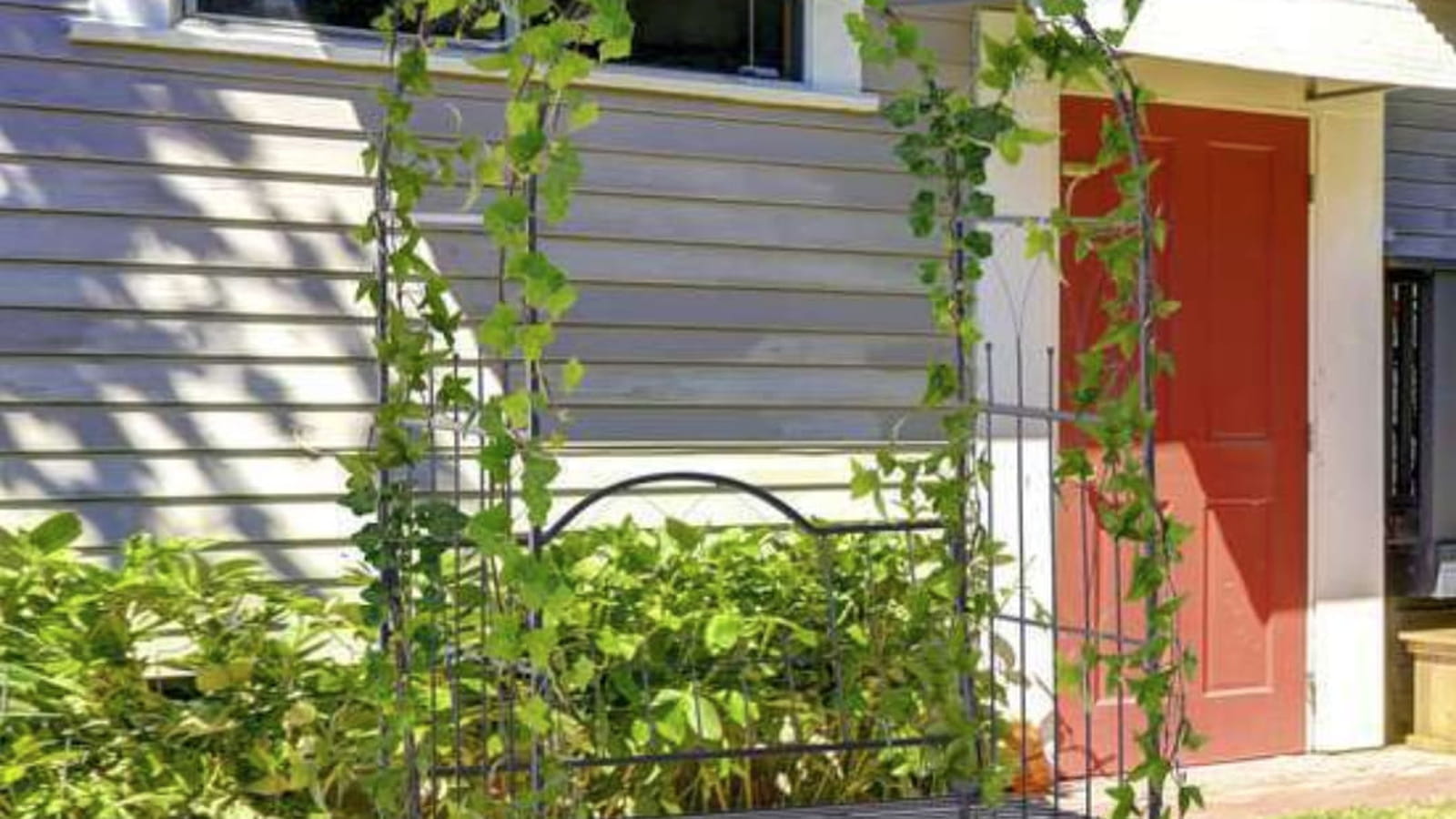 Arche de jardin avec banc