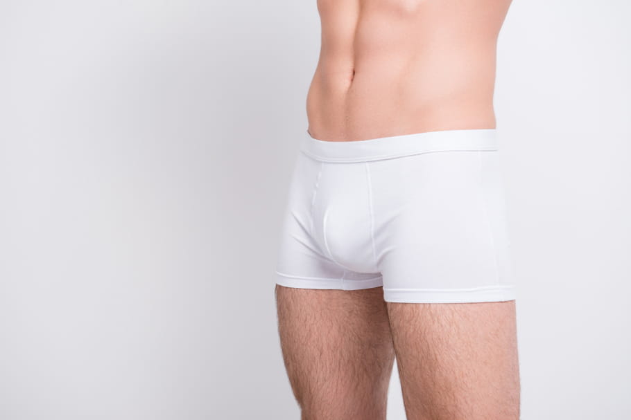 À quoi servent les testicules ?