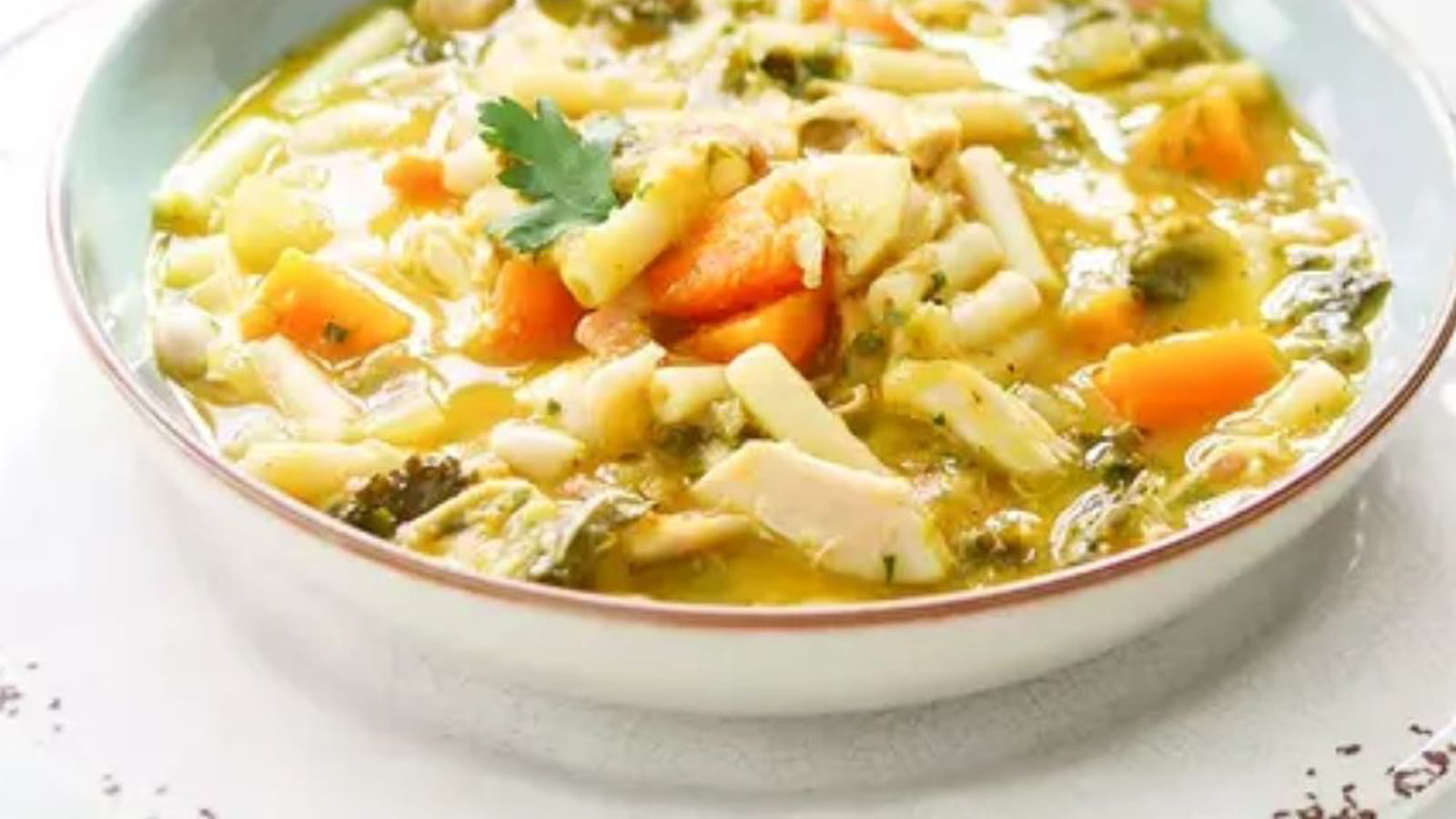 Soupe de pâtes au poulet et aux légumes