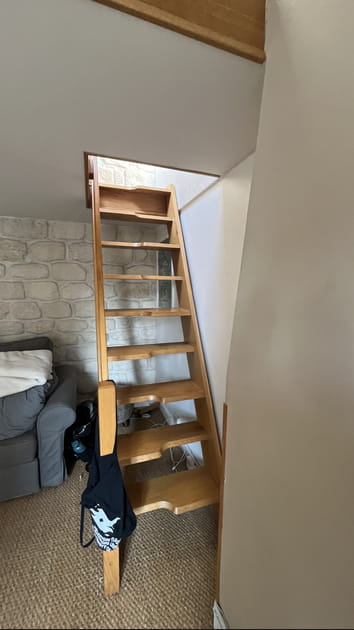 Avant&nbsp;: un escalier en bois massif &agrave; changer