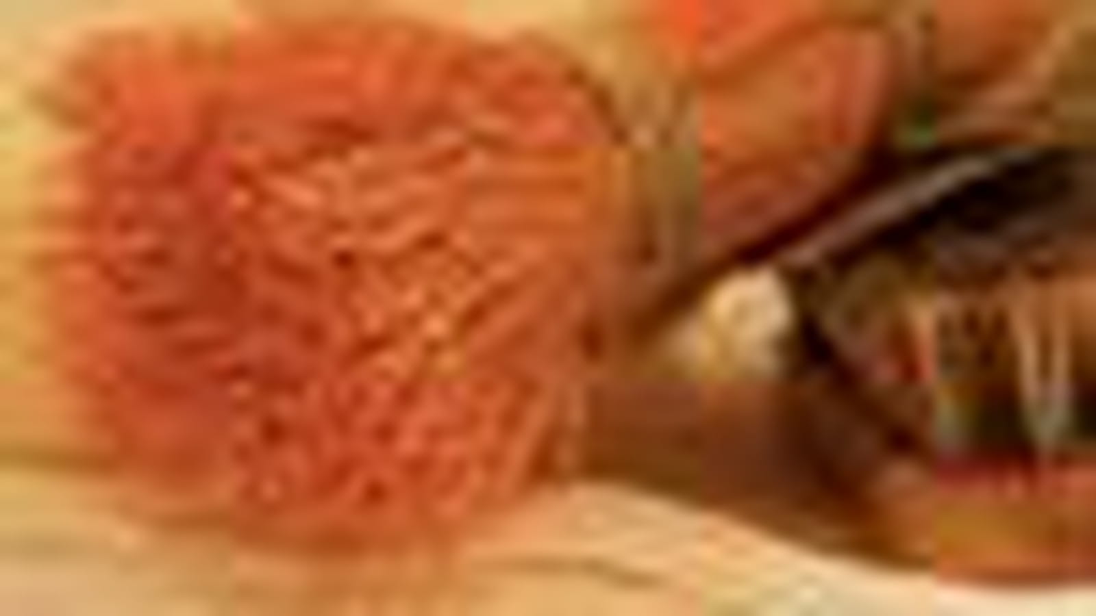 Brosses
