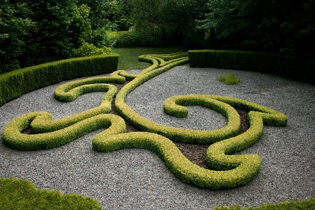 Une allégorie de la plantule qui sort de la graine dans la chambre jaune