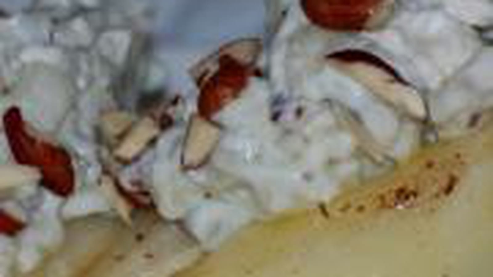 Poire au roquefort