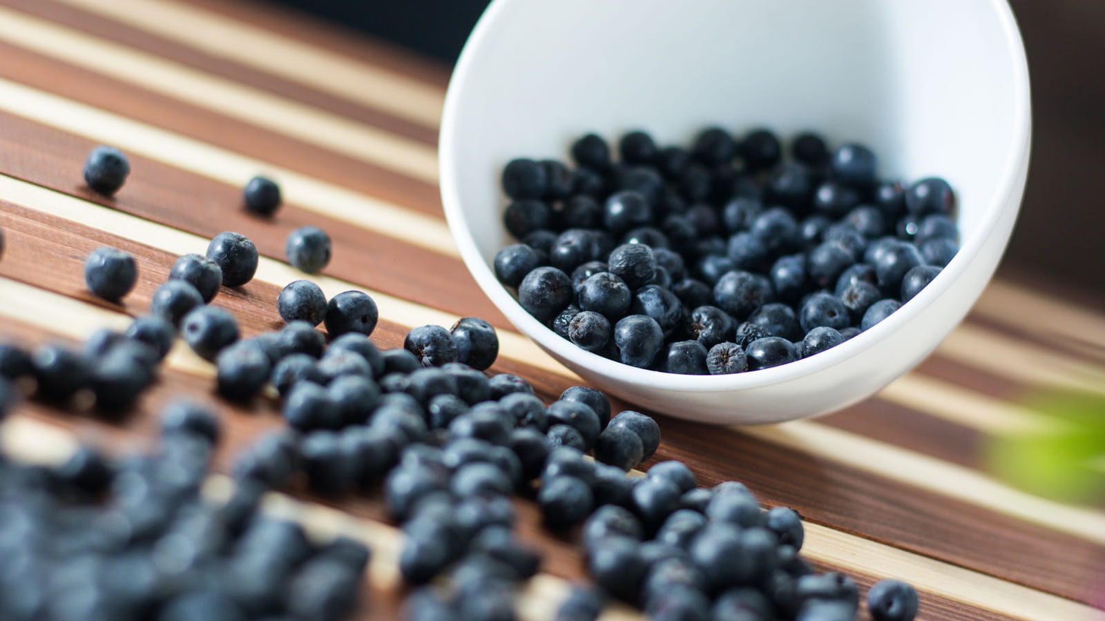 L'aronia