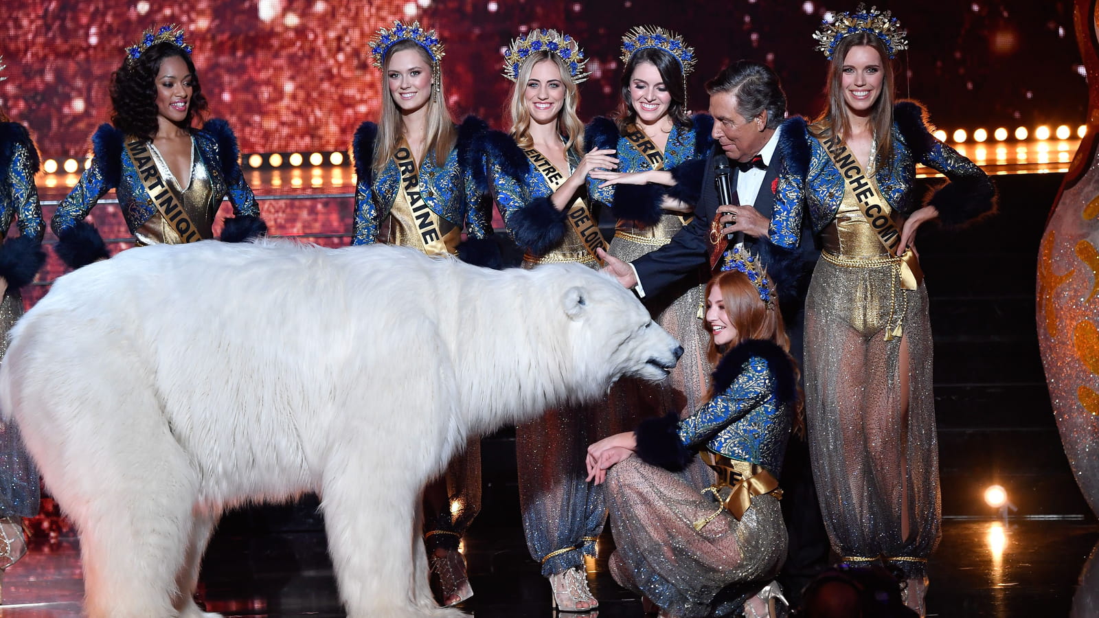 Un animal hors du commun... dans le décolleté