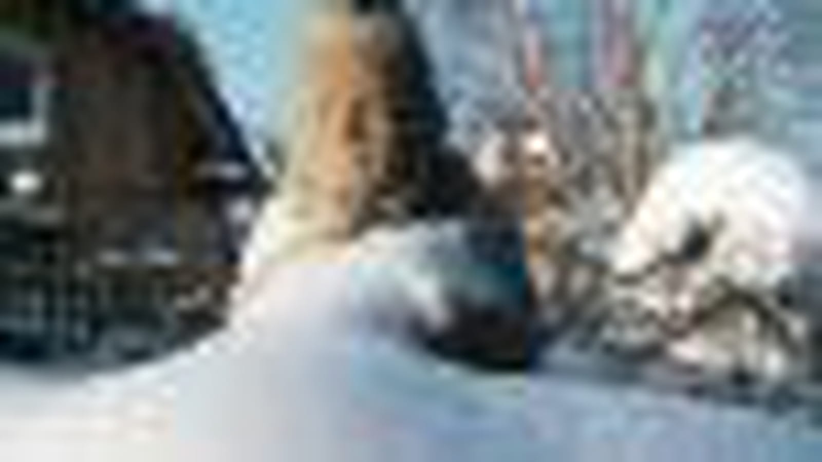 Hiver