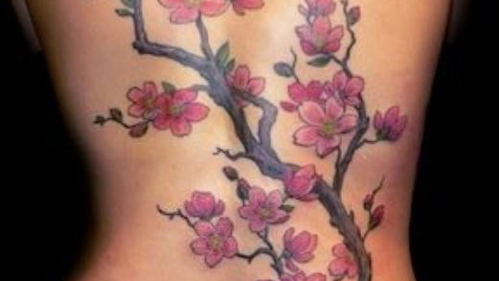 Fleurs de cerisier XXL sur le dos