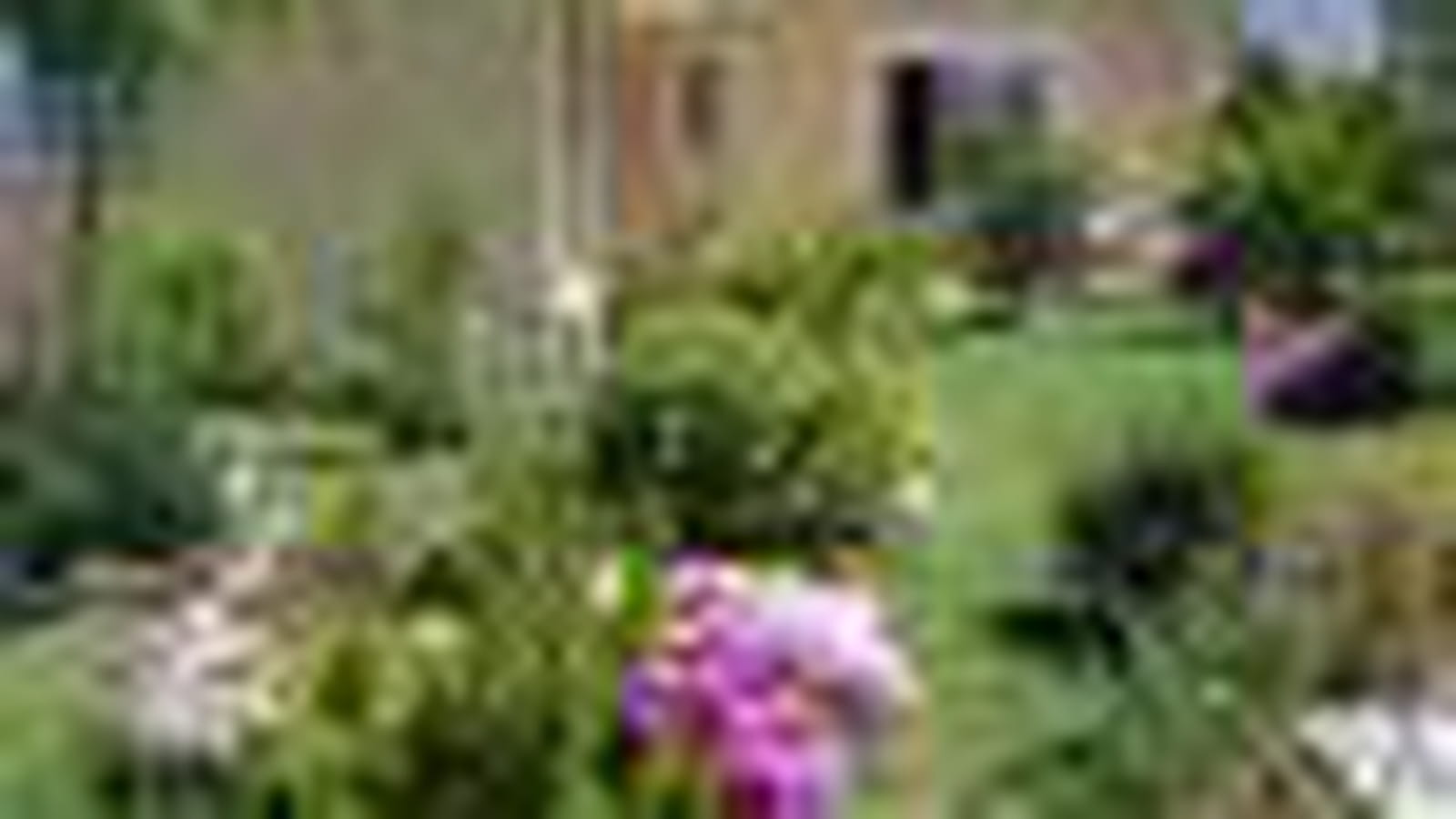 Parterre