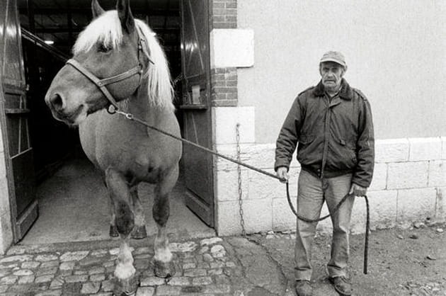 La sortie de l'&eacute;curie