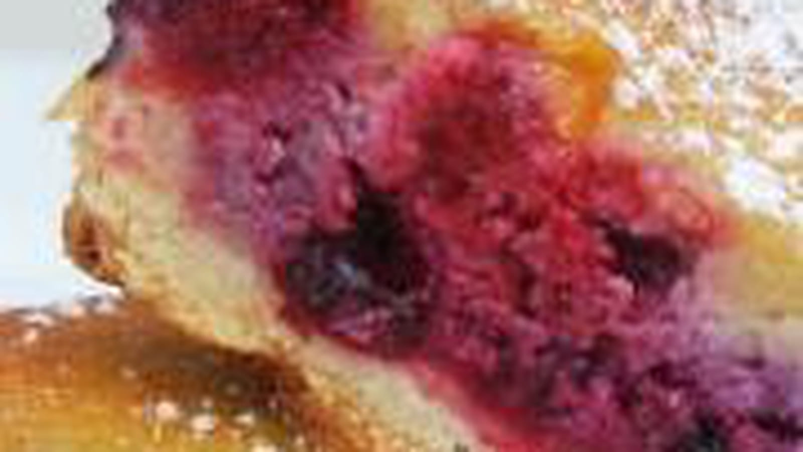 Tourte aux fruits rouges