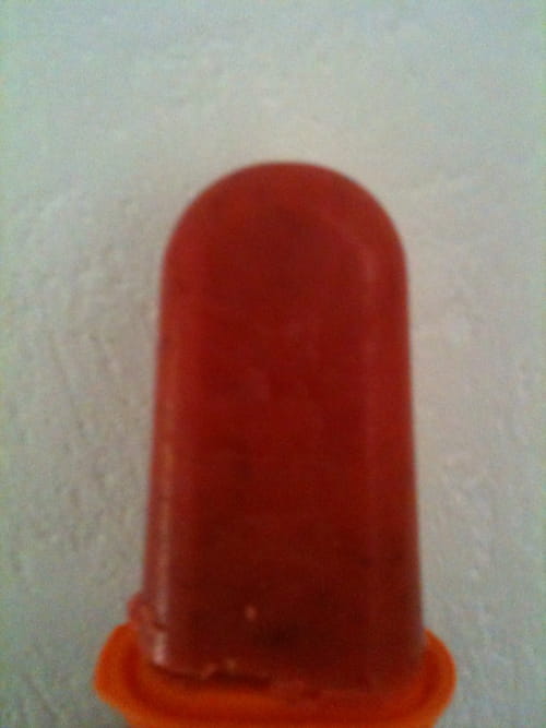 Sorbet aux fruits (sans sorbetière)
