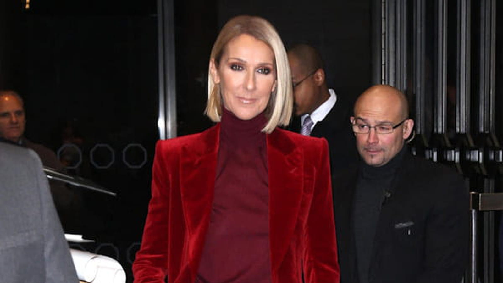 Céline Dion le 14 novembre 2019