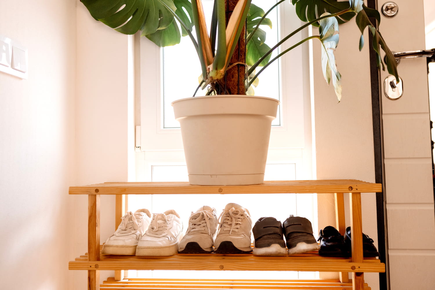 This is the only place in the house where you should never store your shoes, at the risk of not being able to wear them anymore.