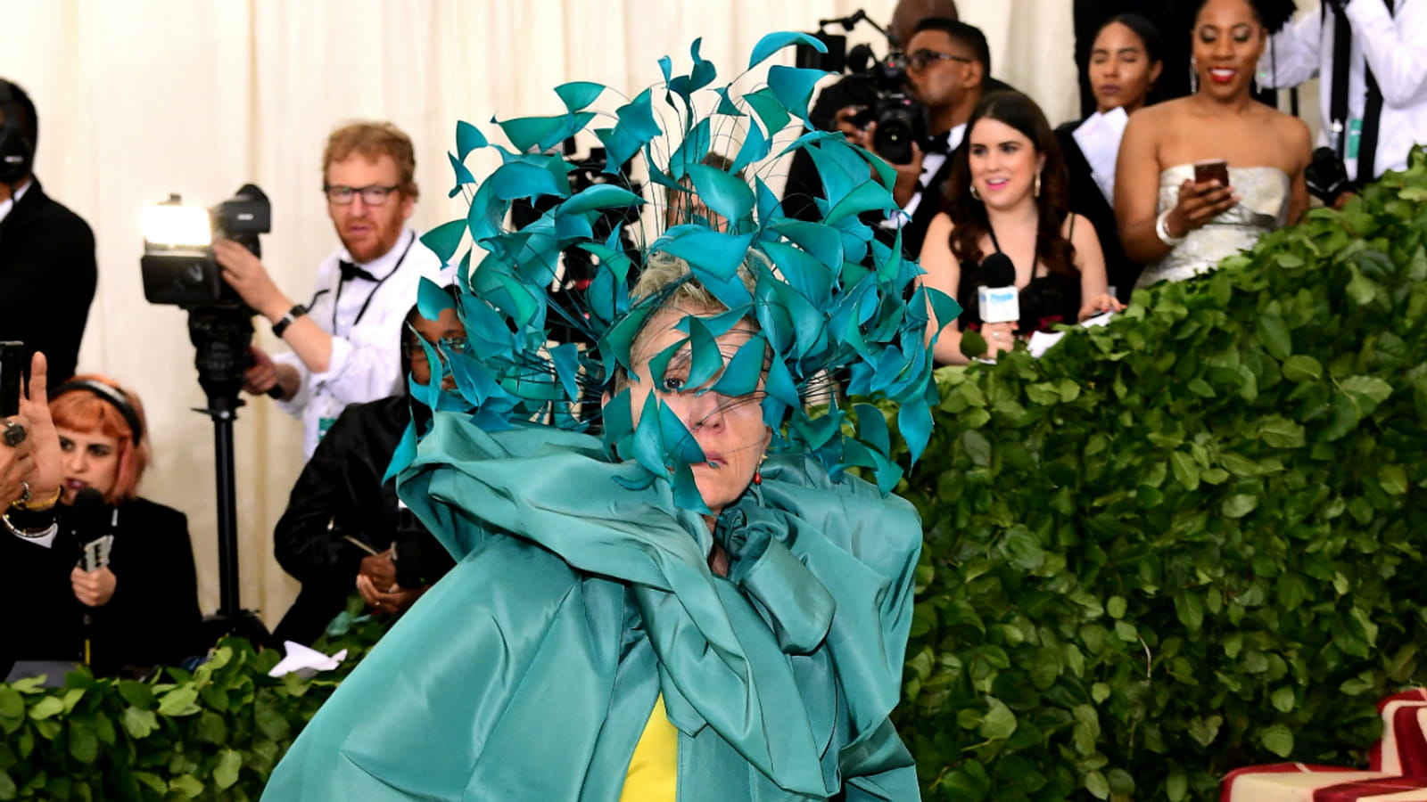Frances McDormand 