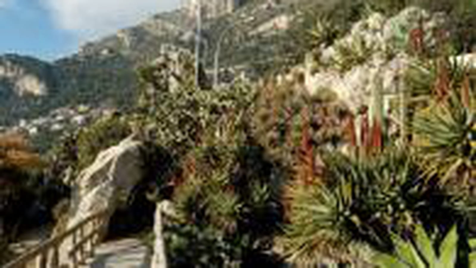 Jardin Exotique de Monaco