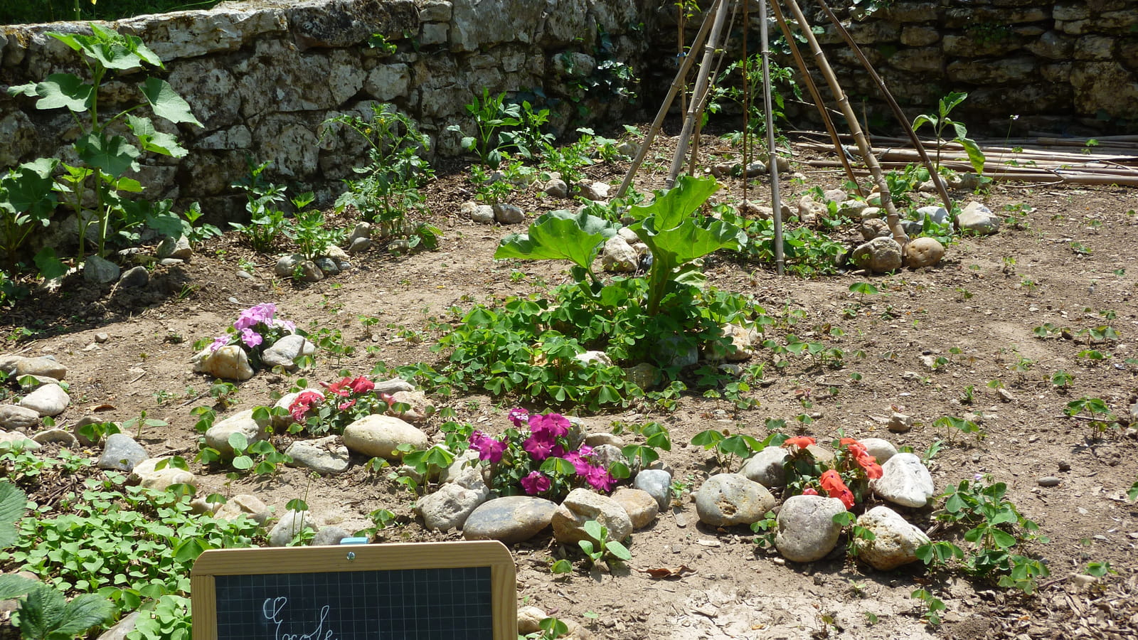 Jardin des enfants