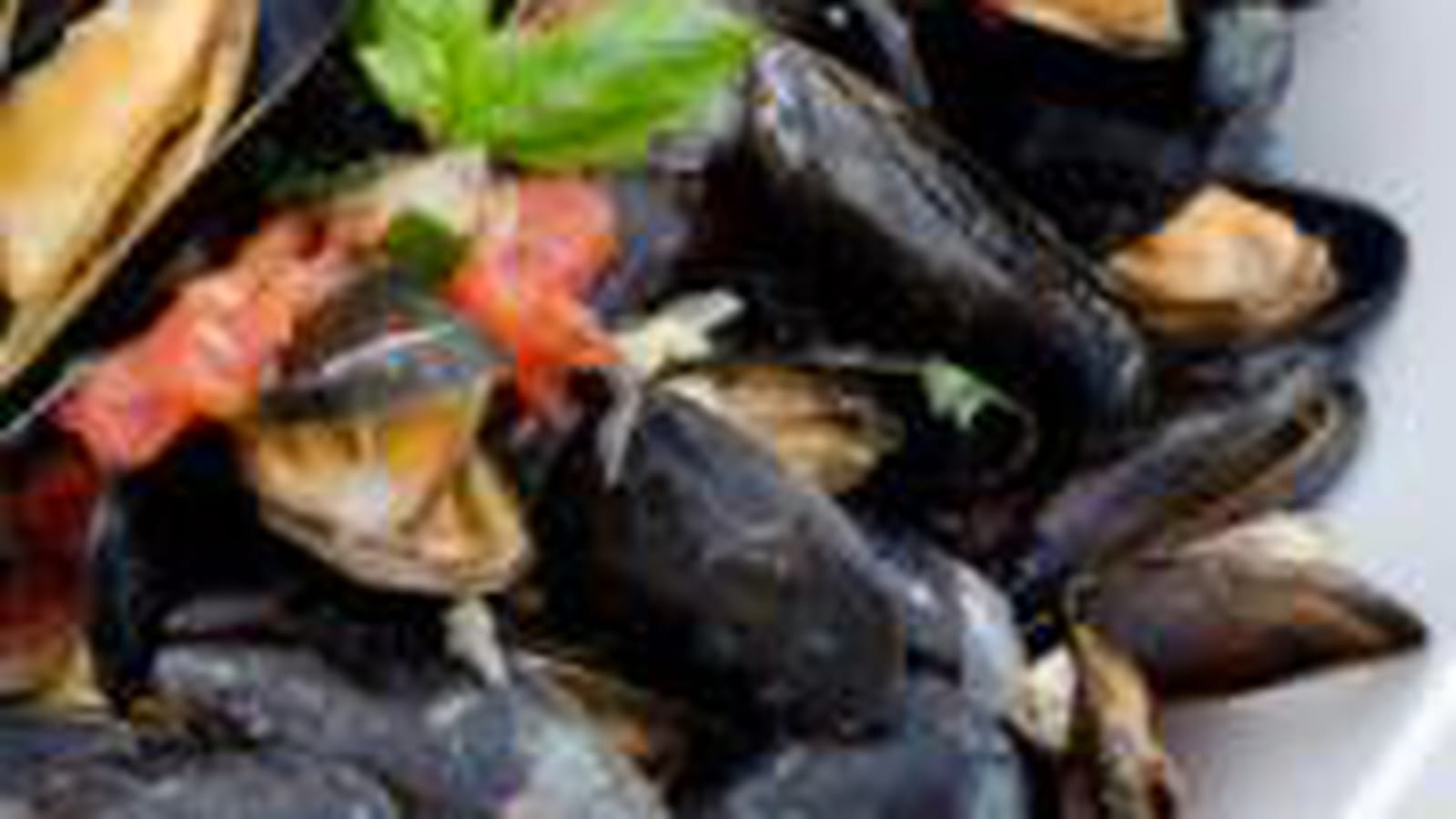 Moules au basilic et tomates