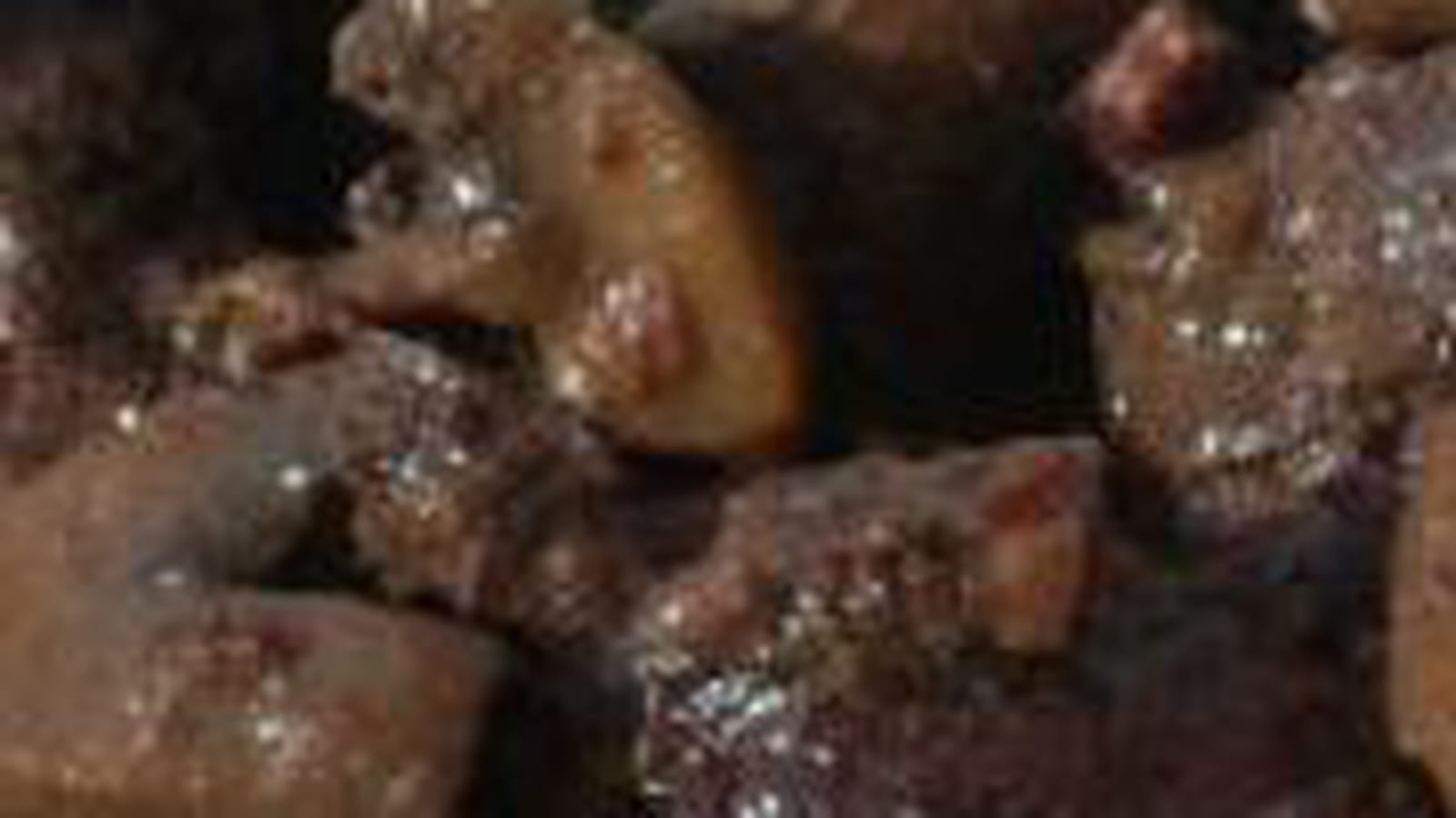 Daube de cerf aux pruneaux
