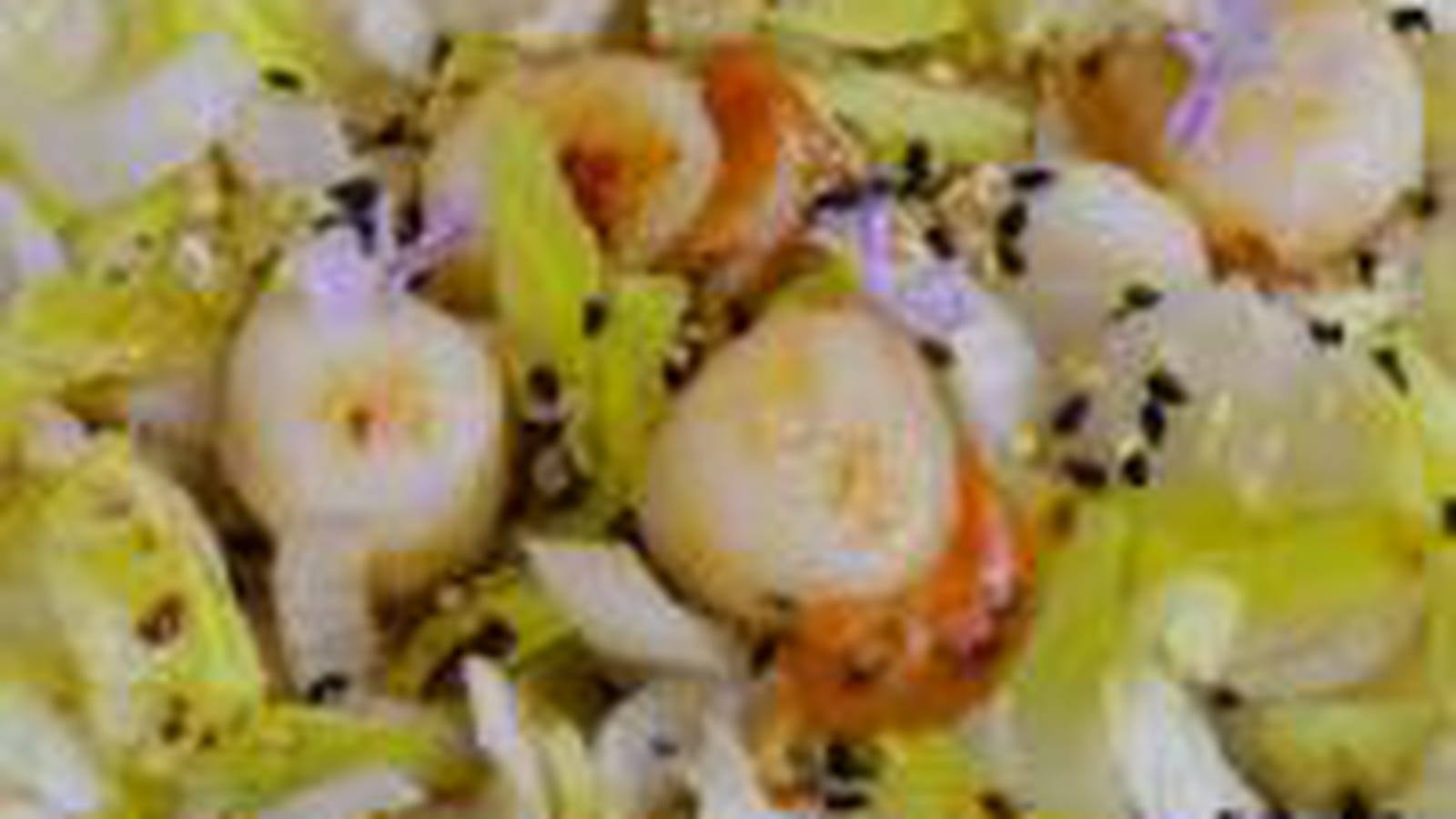 Salade croquante d'endive et Saint Jacques