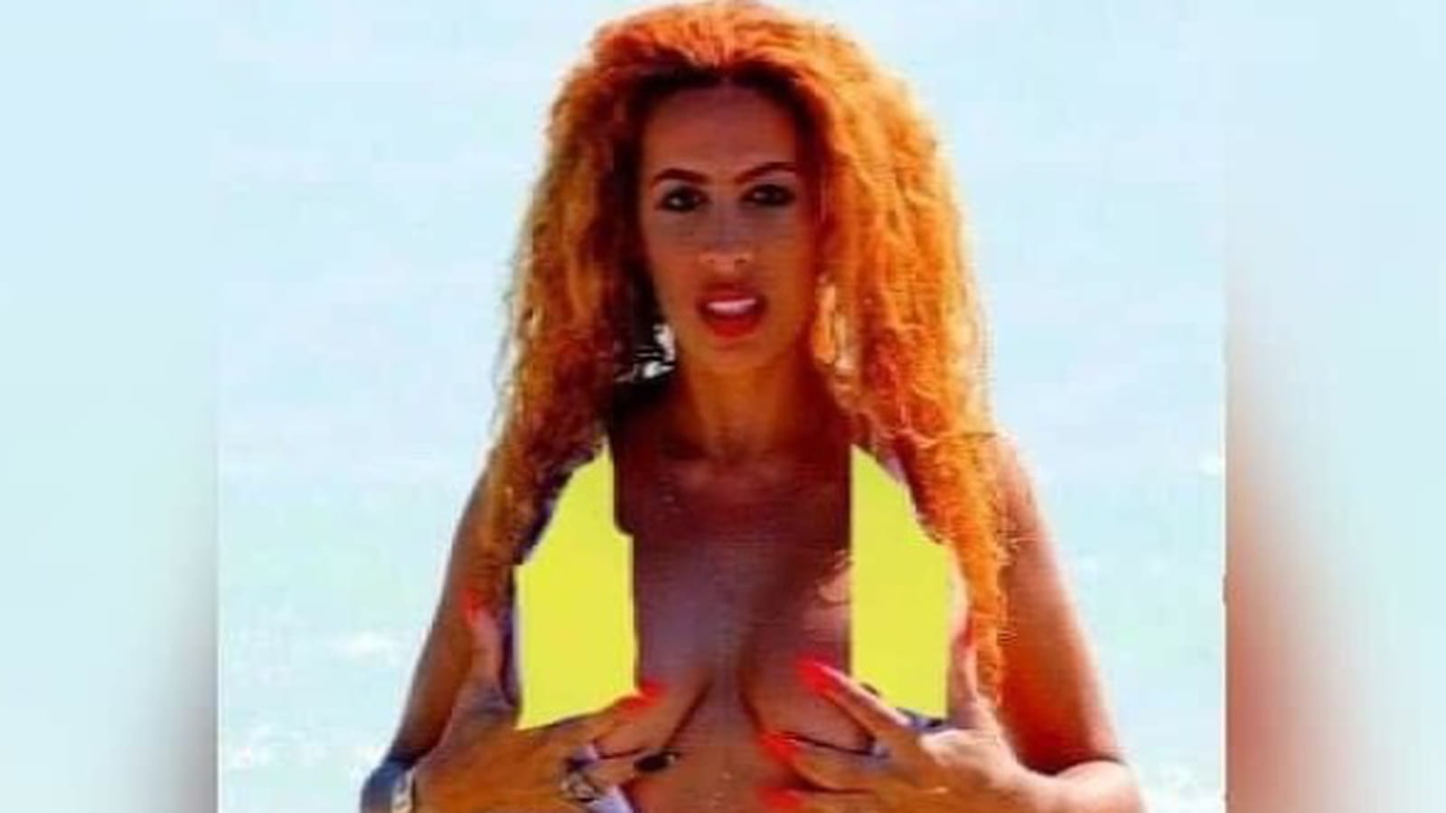 Afida Turner