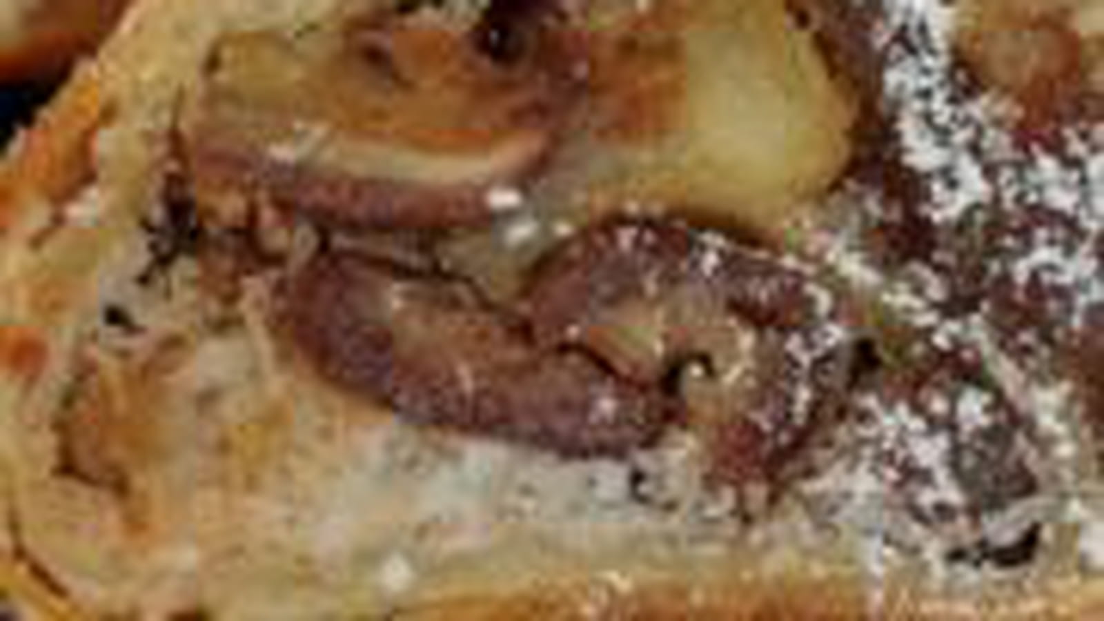 Strudel dattes noix de coco