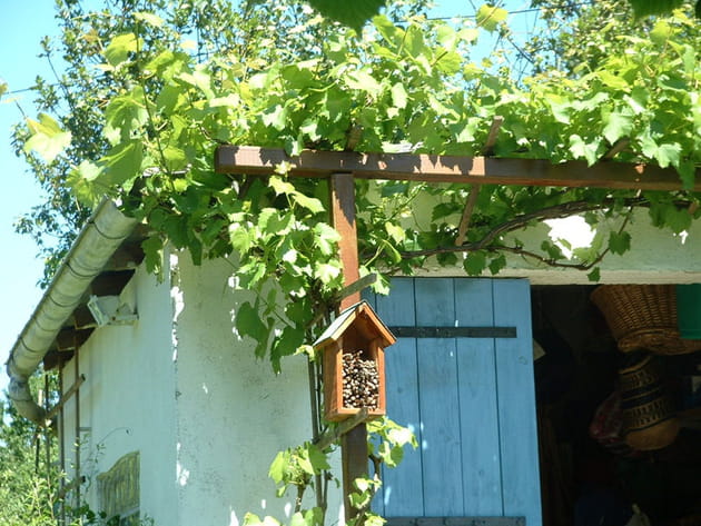 H&ocirc;tel &agrave; insectes