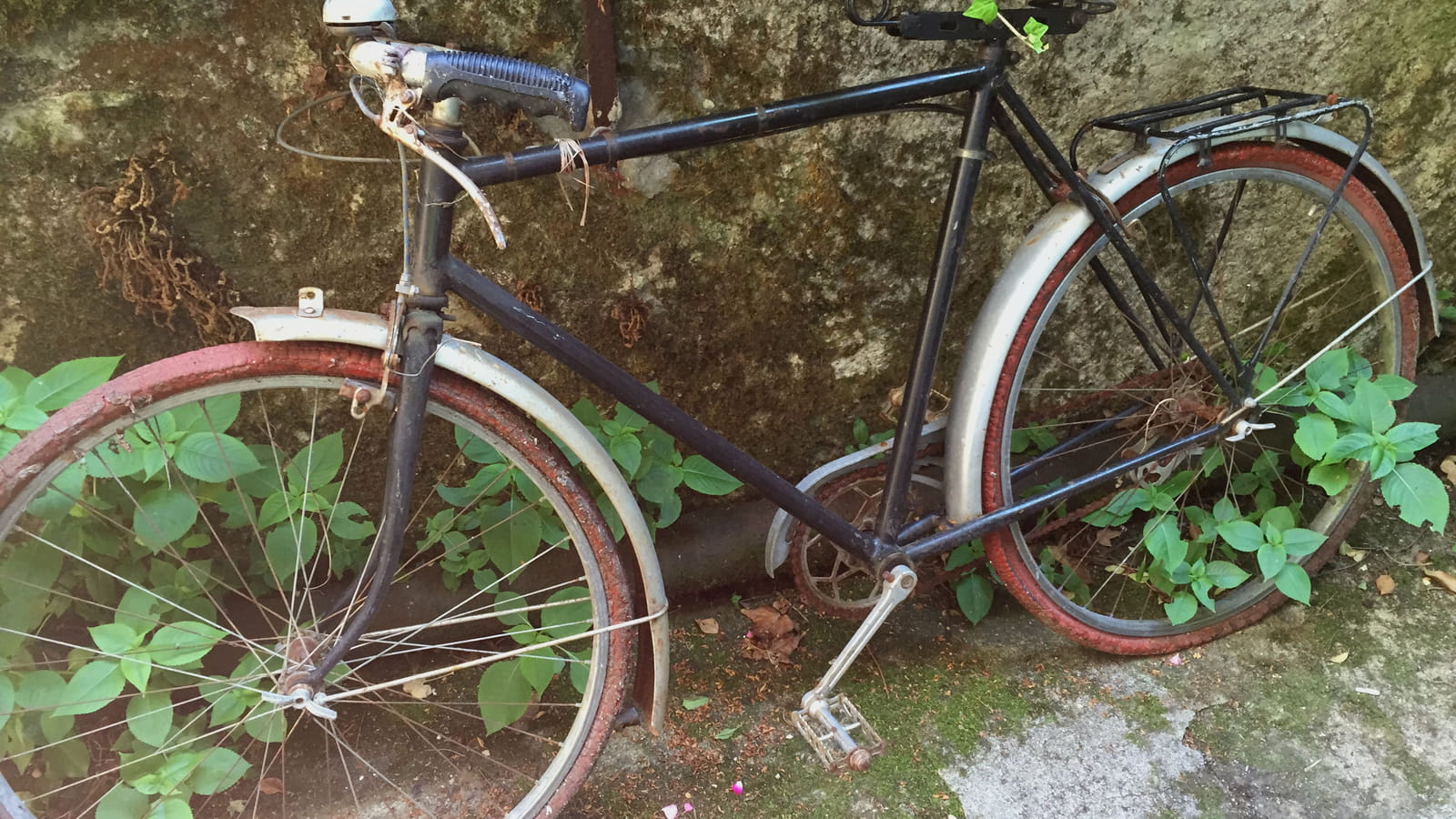 Vélo