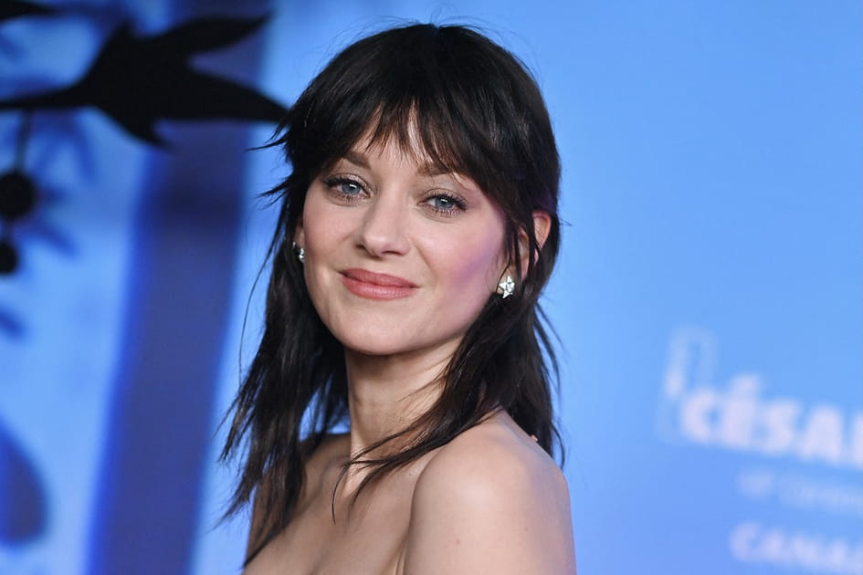 Top&nbsp;: la coupe mulet de Marion Cotillard