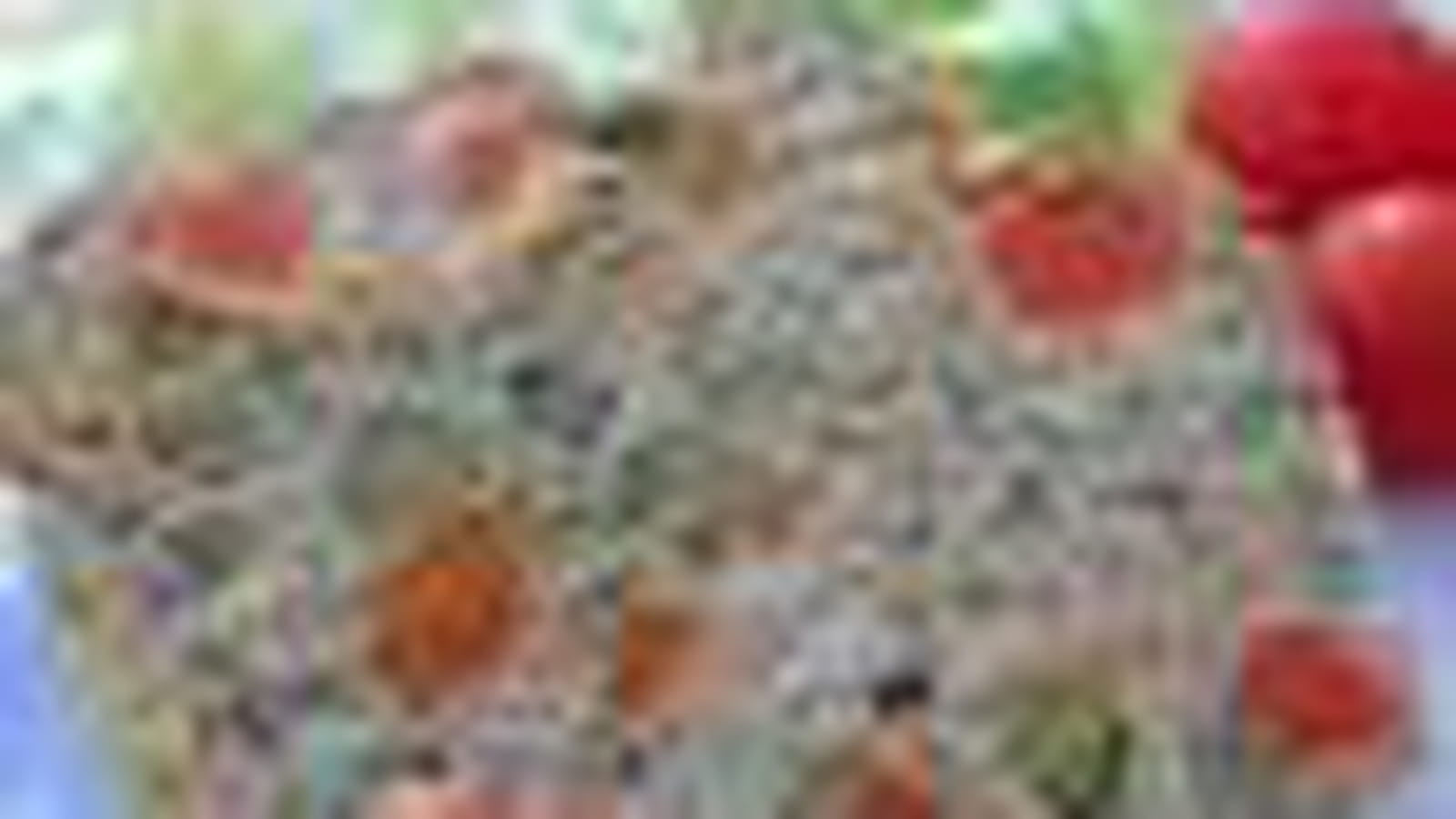 Découper une terrine de légumes