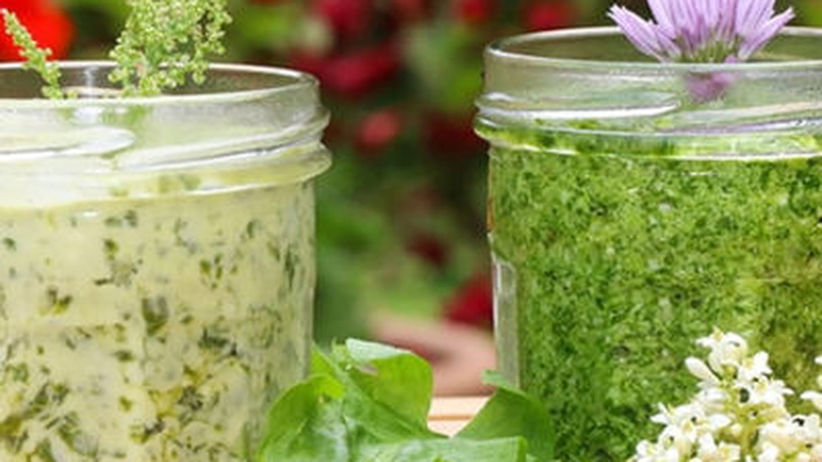 Pesto et beurre d’oseille