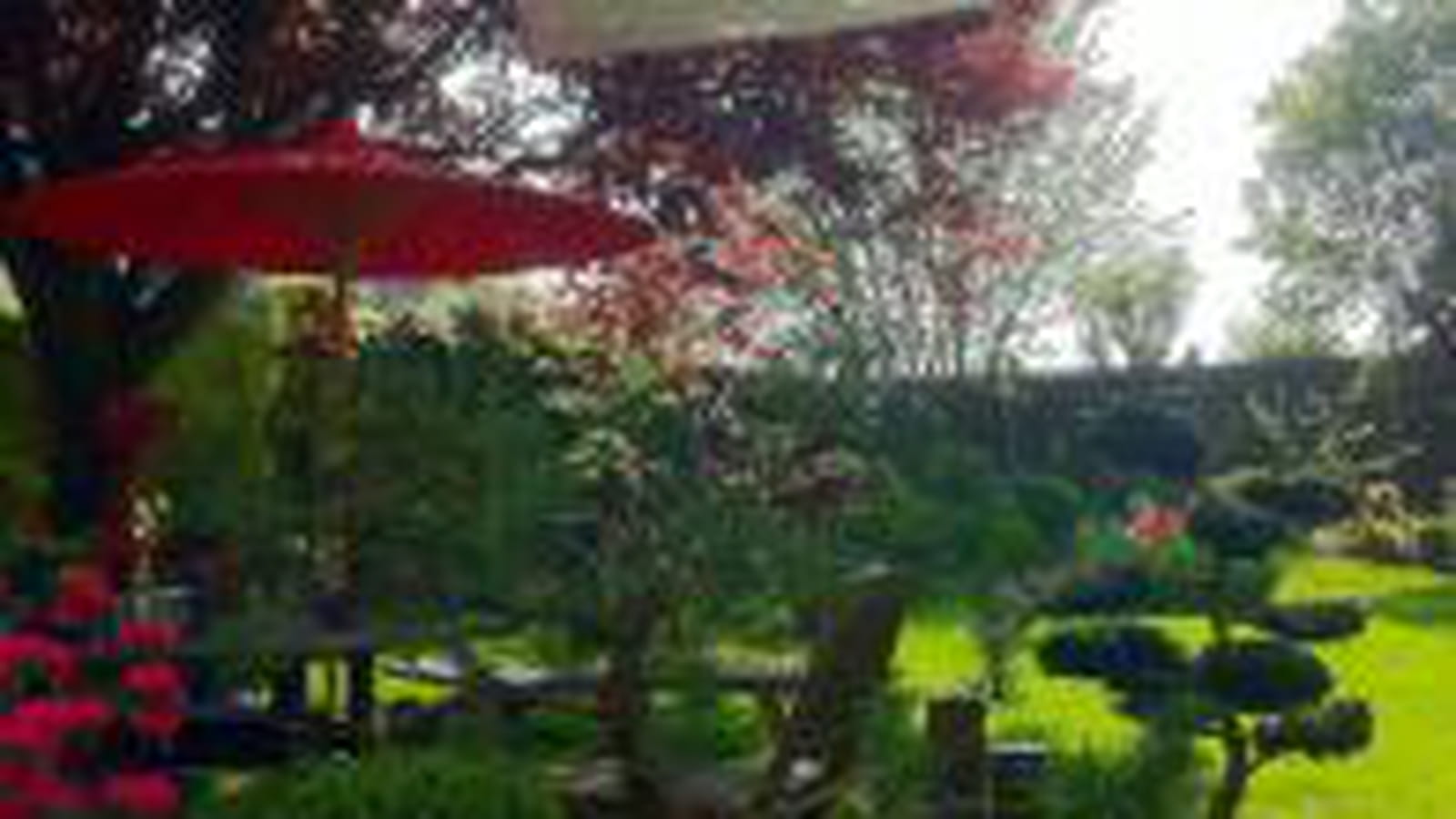 Jardin de Dominique