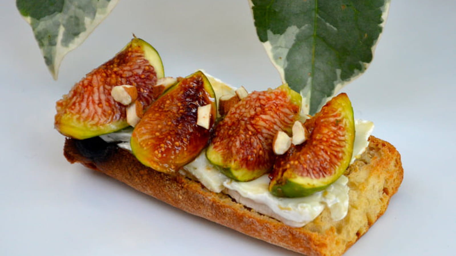 Tartine de fromage de chèvre aux figues
