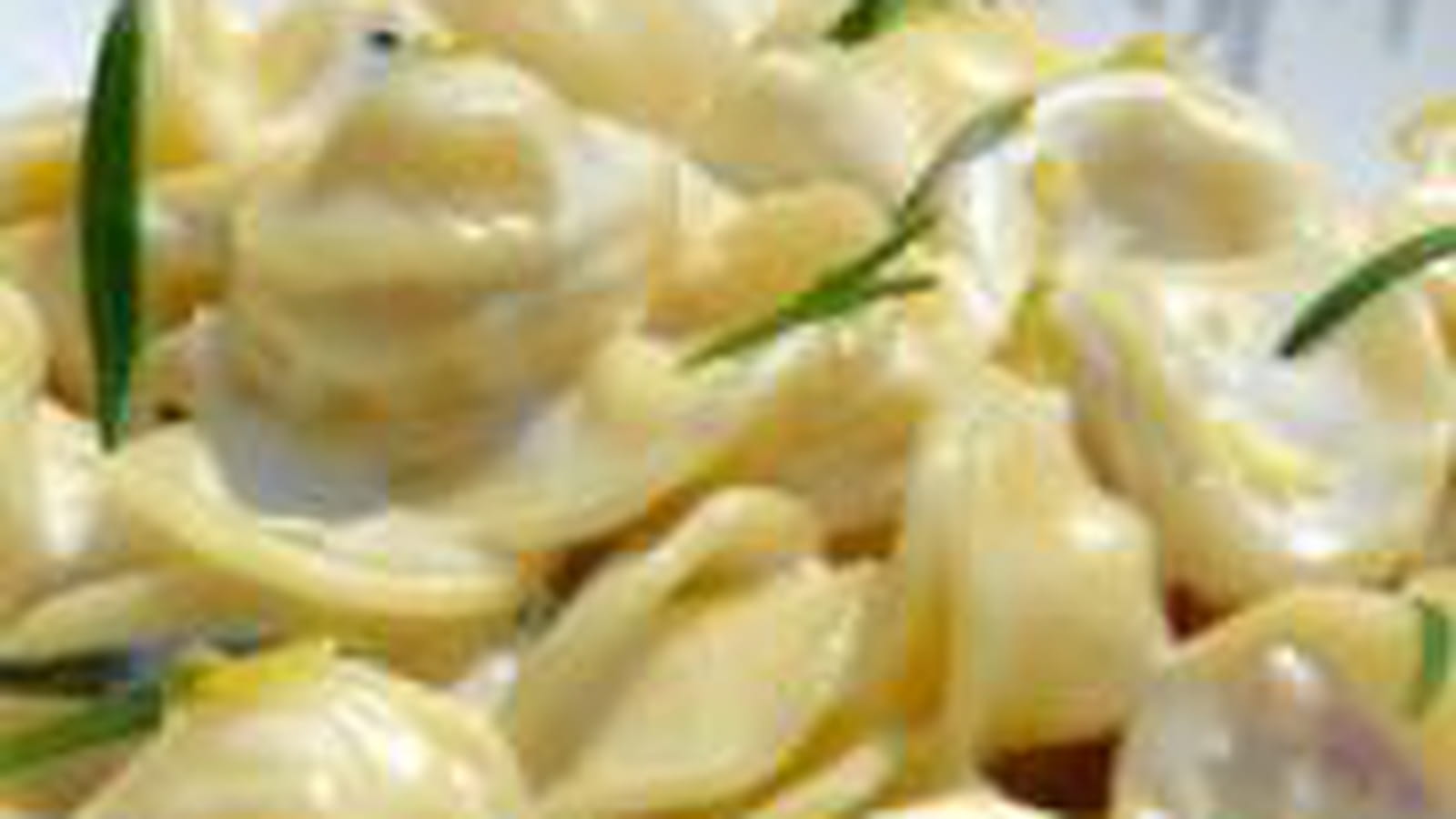 Pâtes orecchiette crème de romarin citron