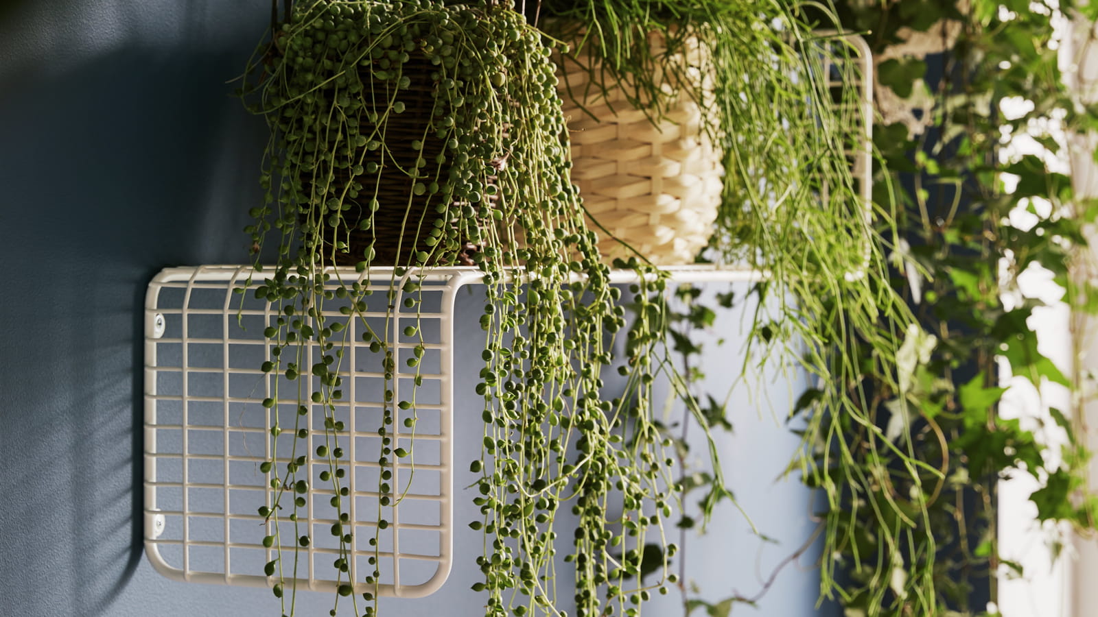 Étagère Svenshult IKEA