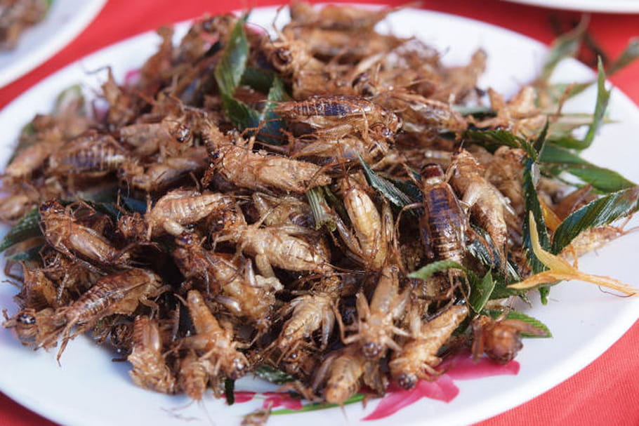 Consommer des insectes n'est pas sans risque
