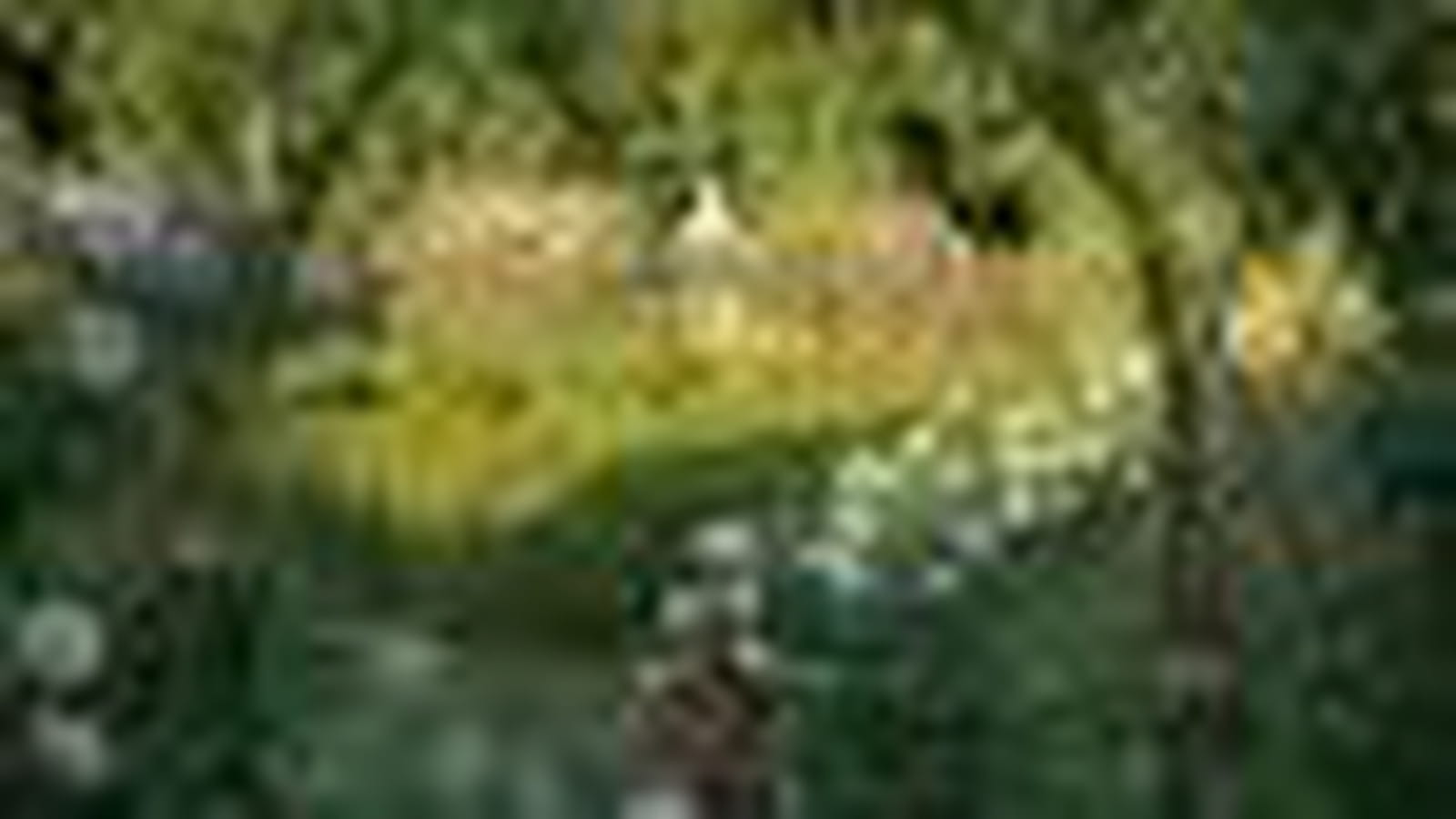Le Jardin des Romances