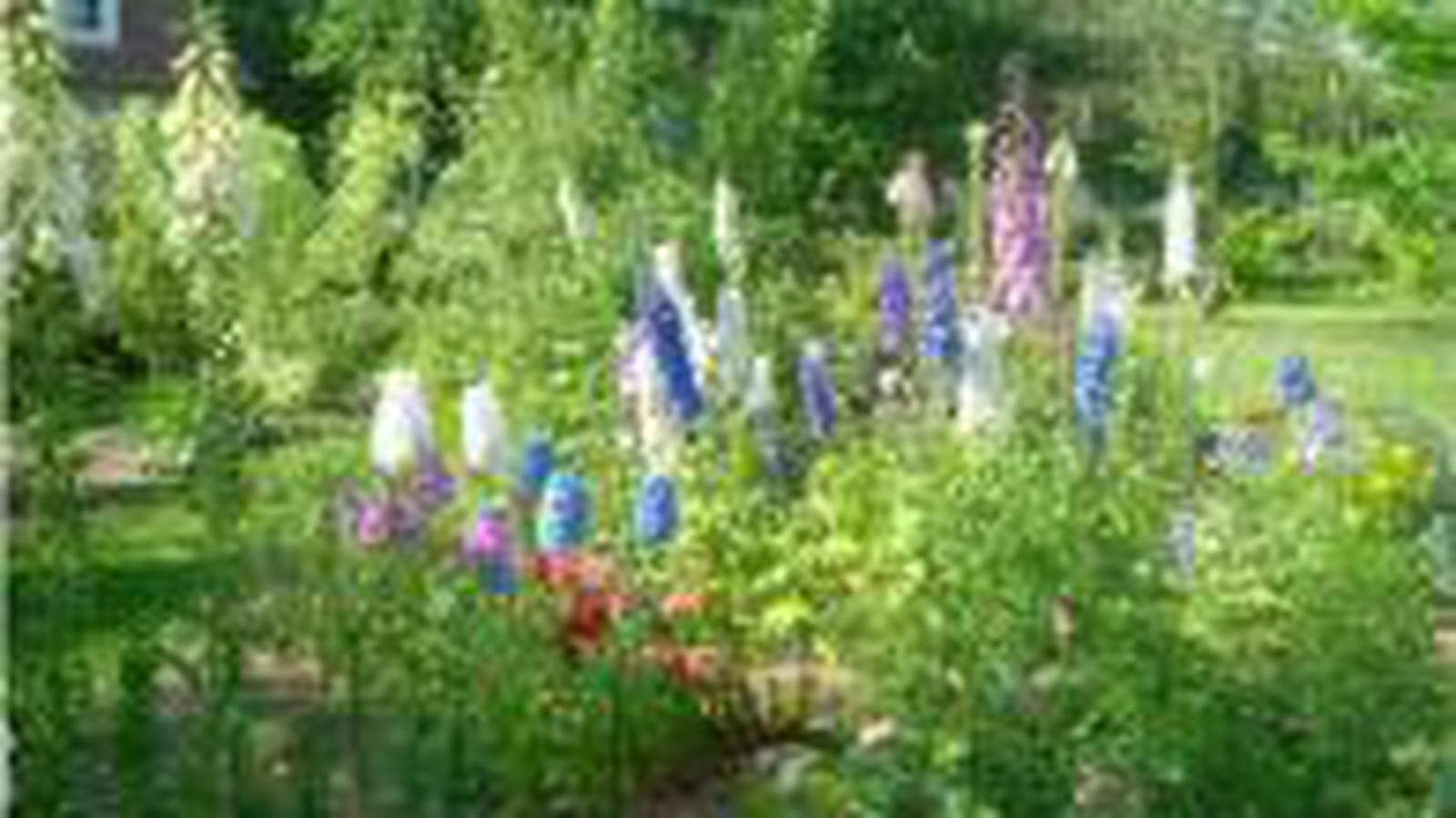Couleurs