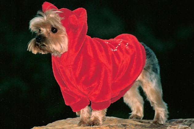 Le petit chaperon rouge