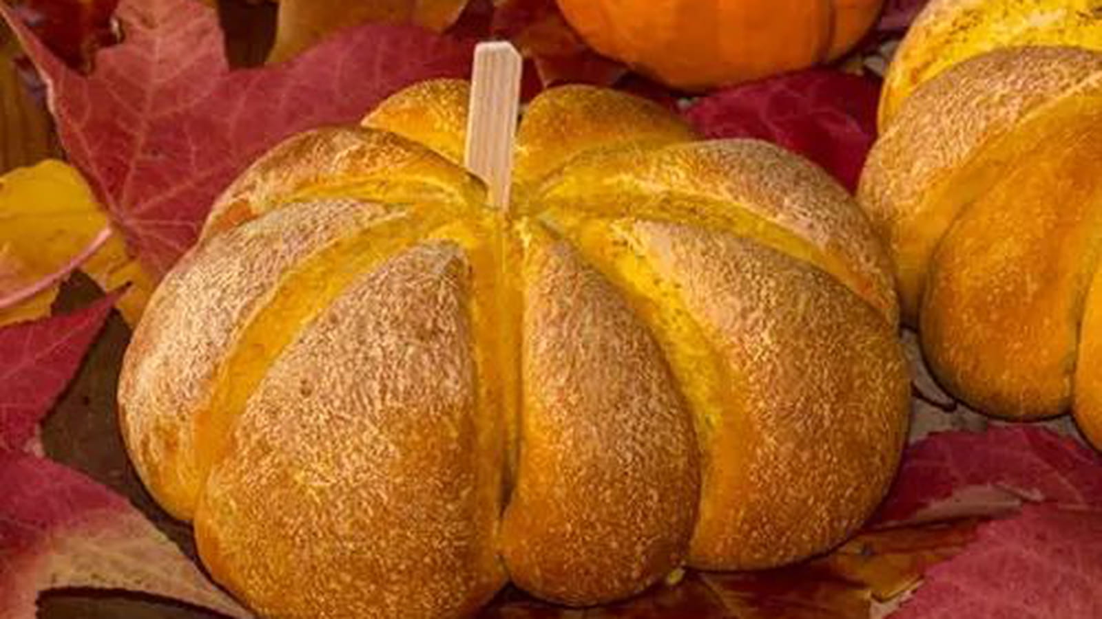 Pain citrouille ou Pumpkin bread