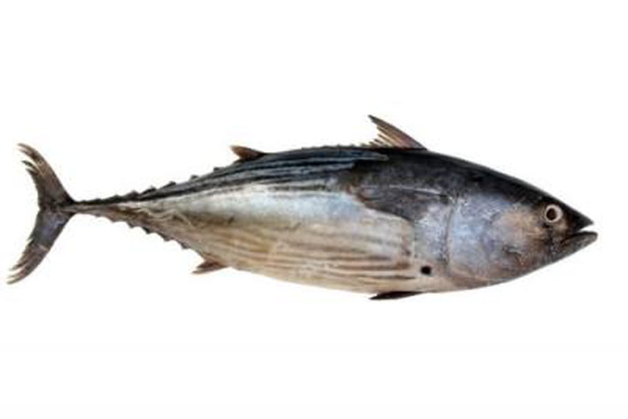 Oméga 3 et poisson : pour vivre mieux, plus longtemps !