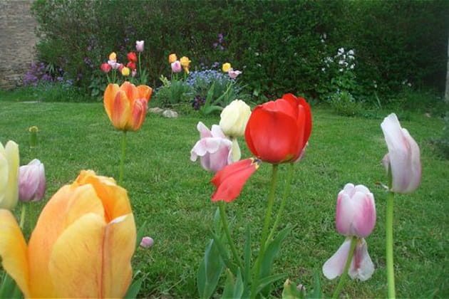 Symphonie de couleurs